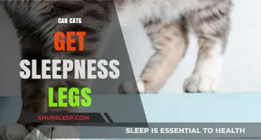 Can Cats Experience Restless Leg Syndrome? Exploring Feline Sleep Issues