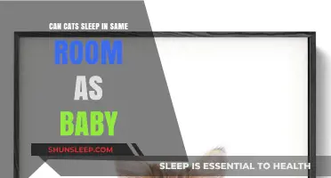 Cats and Babies Sharing a Room: Safety Tips for Peaceful Sleep