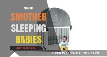 Cats and Cribs: Debunking the Myth of Smothering Sleeping Babies