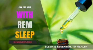 CBD and REM Sleep: Exploring Its Potential Benefits for Restful Nights