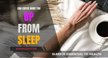 Coffee: A Sleep Solution or a Stimulant Myth?