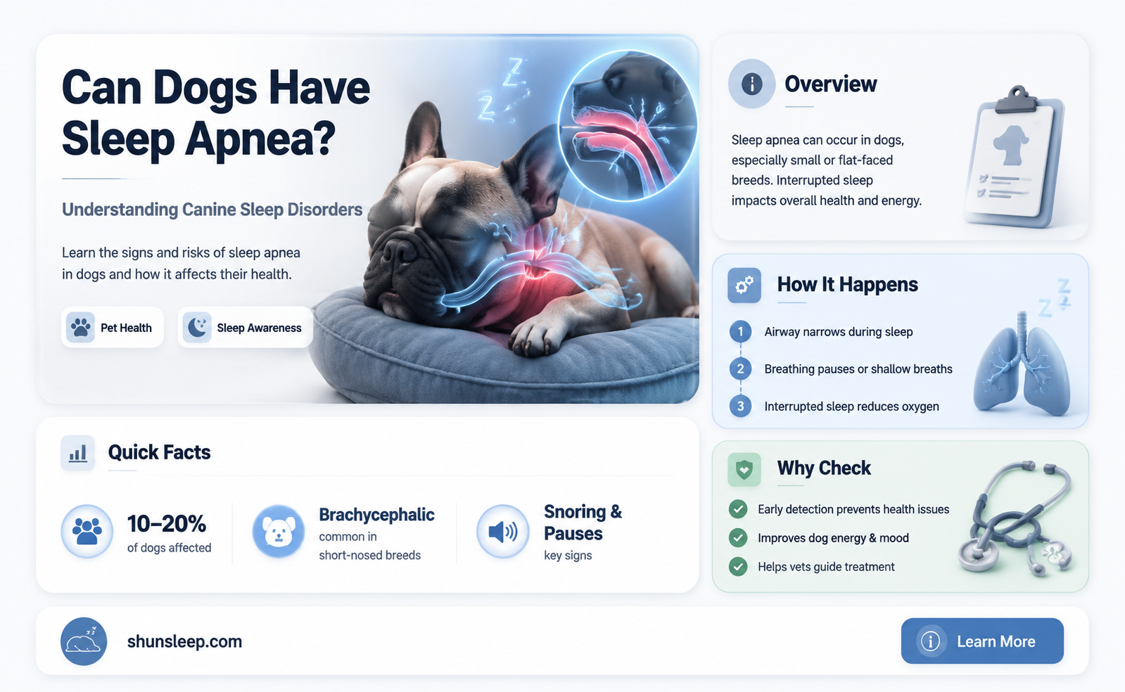 can a dog get sleep apnea