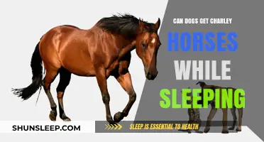 Can Dogs Experience Charley Horses During Sleep? Unraveling the Mystery