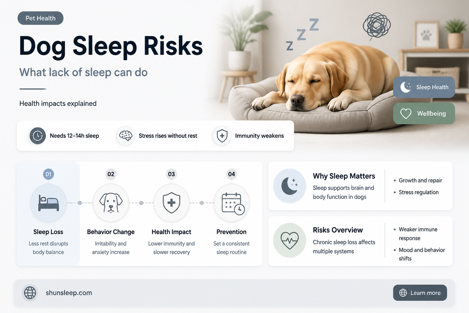 can dogs get sick from lack of sleep