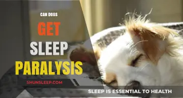 Can Dogs Experience Sleep Paralysis? Unraveling the Canine Sleep Mystery