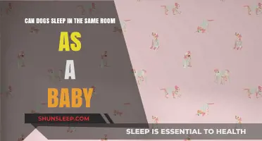 Dogs and Babies Sharing a Room: Safety Tips for Co-Sleeping