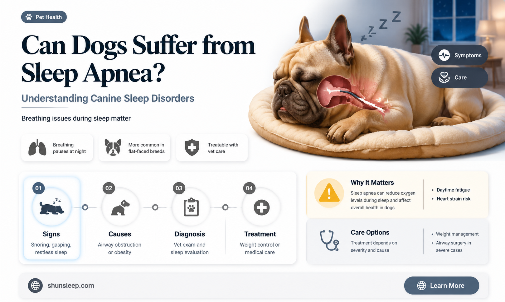 can dogs get sleep apnea