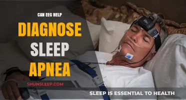 EEG's Role in Diagnosing Sleep Apnea: A Comprehensive Analysis