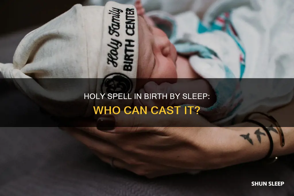 can every character use holy in birth by sleep