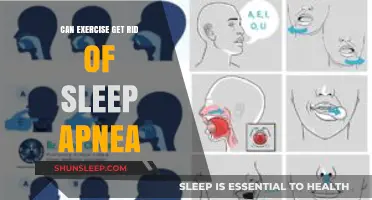 Exercise and Sleep Apnea: Can Physical Activity Cure the Disorder?