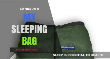 How to Keep Fleas Out of Your Sleeping Bag