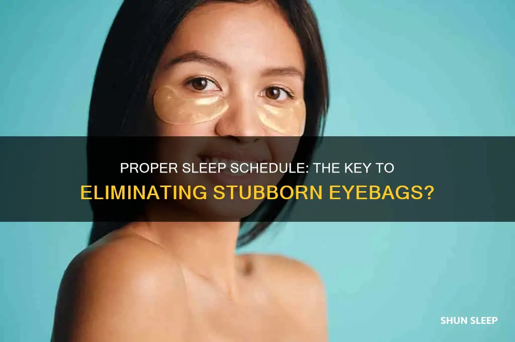 can gaining a proper sleep schedule get rid of eyebags