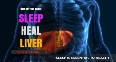 Sleep and Liver Health: Can Restoring Sleep Heal Your Liver?
