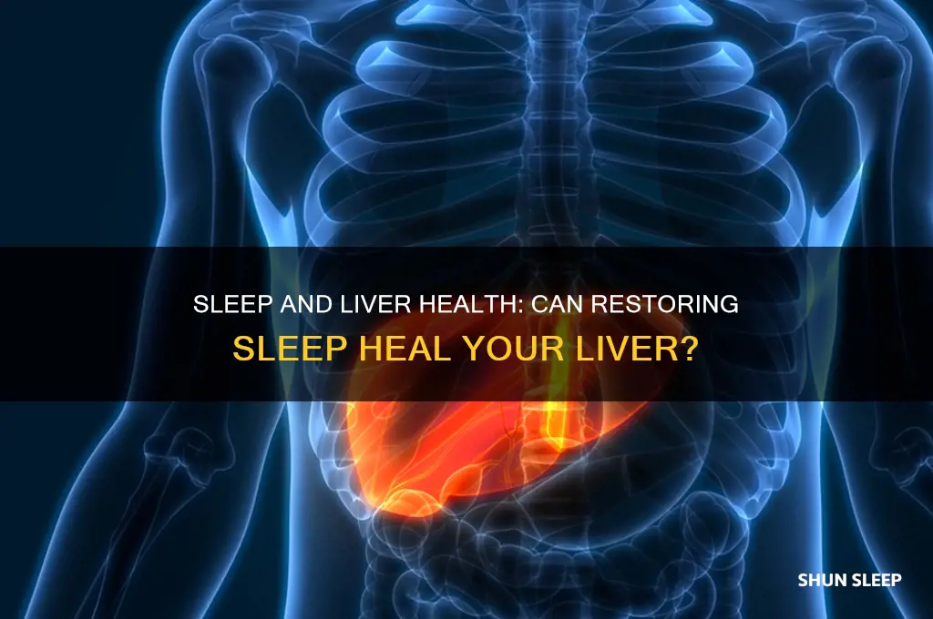 can getting more sleep heal liver
