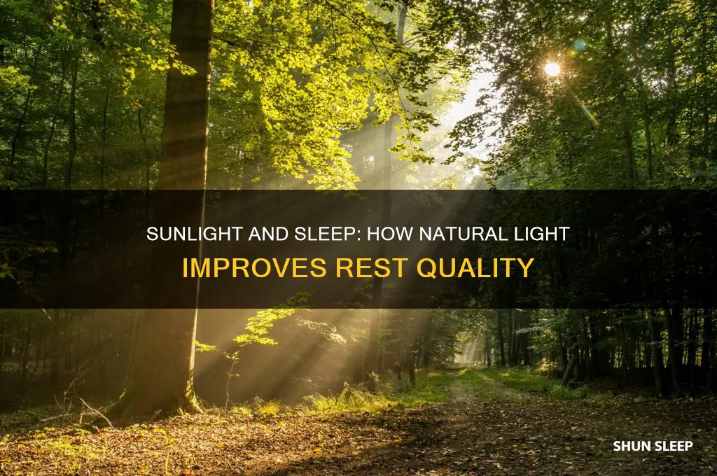 can getting more sunlight help you sleep