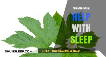 Goldenseal for Sleep: Natural Remedy or Myth?