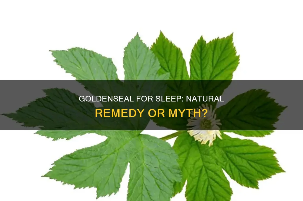 can goldenseal help with sleep