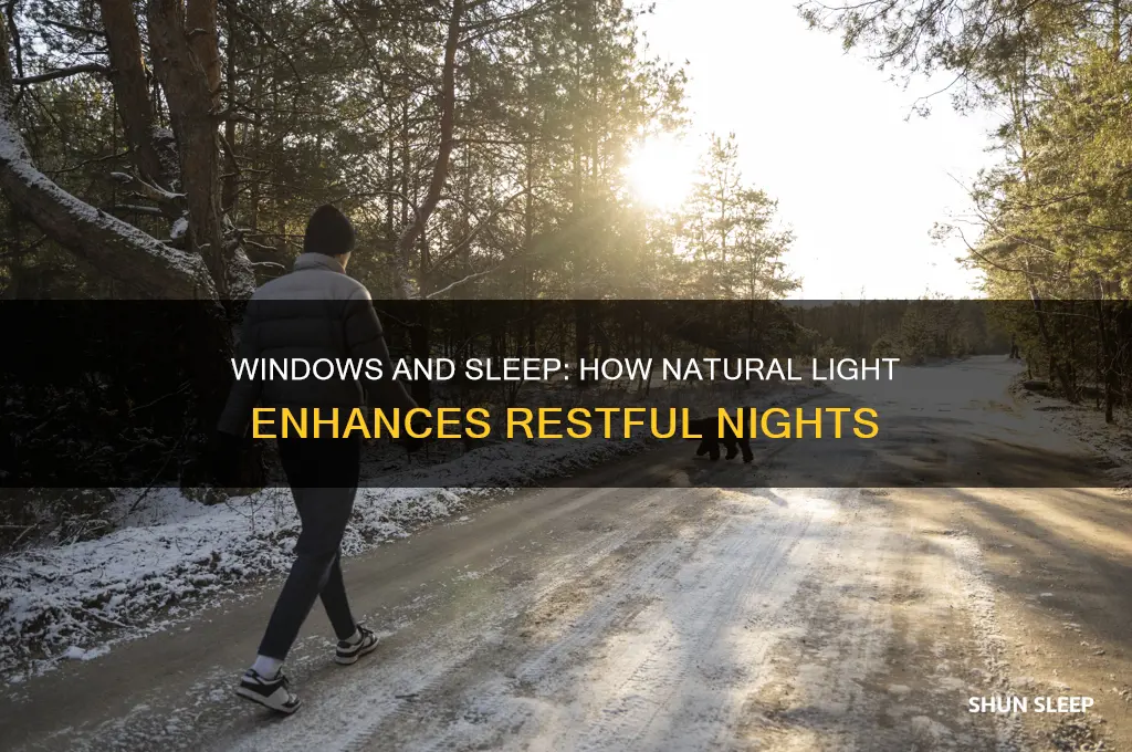 can having windows help sleep