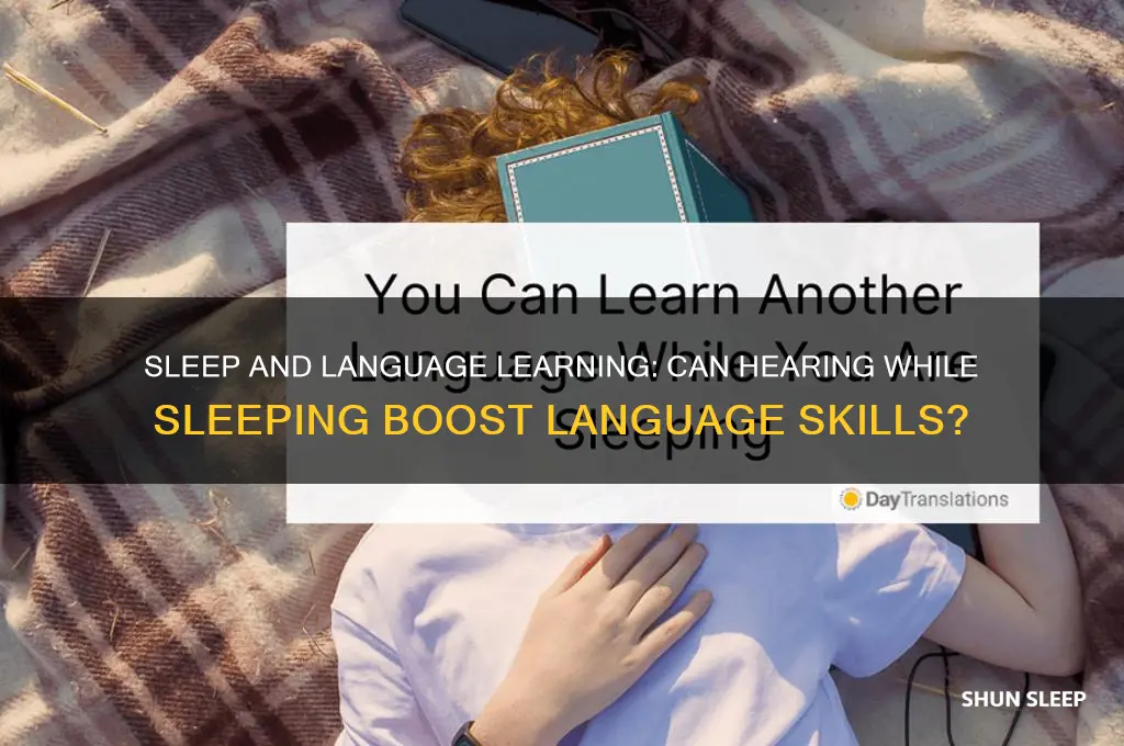 can hearing whille sleeping help learn new languages