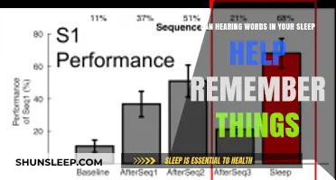 Sleep Learning: Can Hearing Words While Asleep Boost Memory Recall?