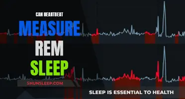 Heartbeat Variability: A Window into REM Sleep