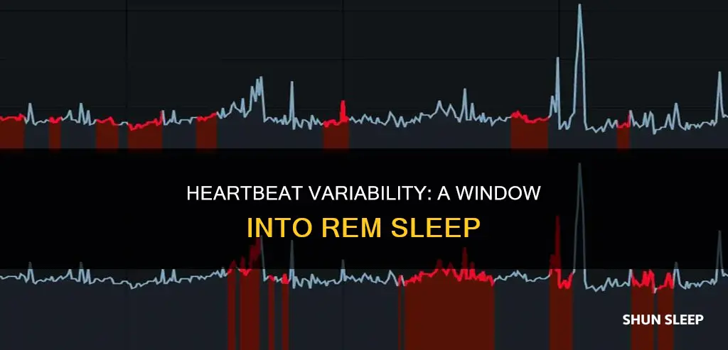 can heartbeat measure rem sleep