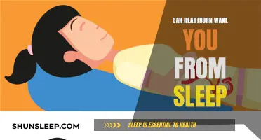 Heartburn's Midnight Intrusion: When Sleep Escapes