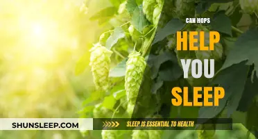 Hops and Sleep: Unlocking the Natural Remedy for Better Rest