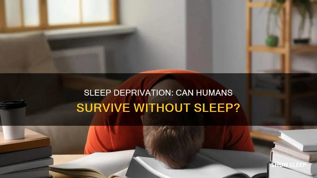 can human die without sleep