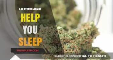 Hybrid Strains for Sleep: Unlocking Restful Nights Naturally