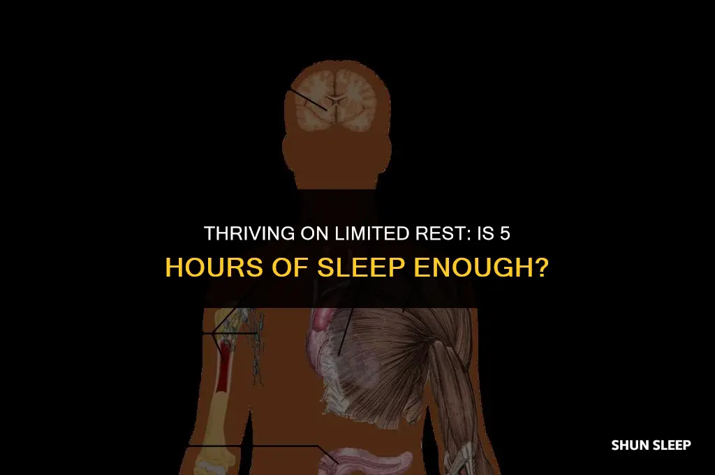 can i function on 5 hours of sleep