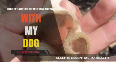 Can Sleeping with Your Dog Cause Athlete's Foot? Facts Revealed