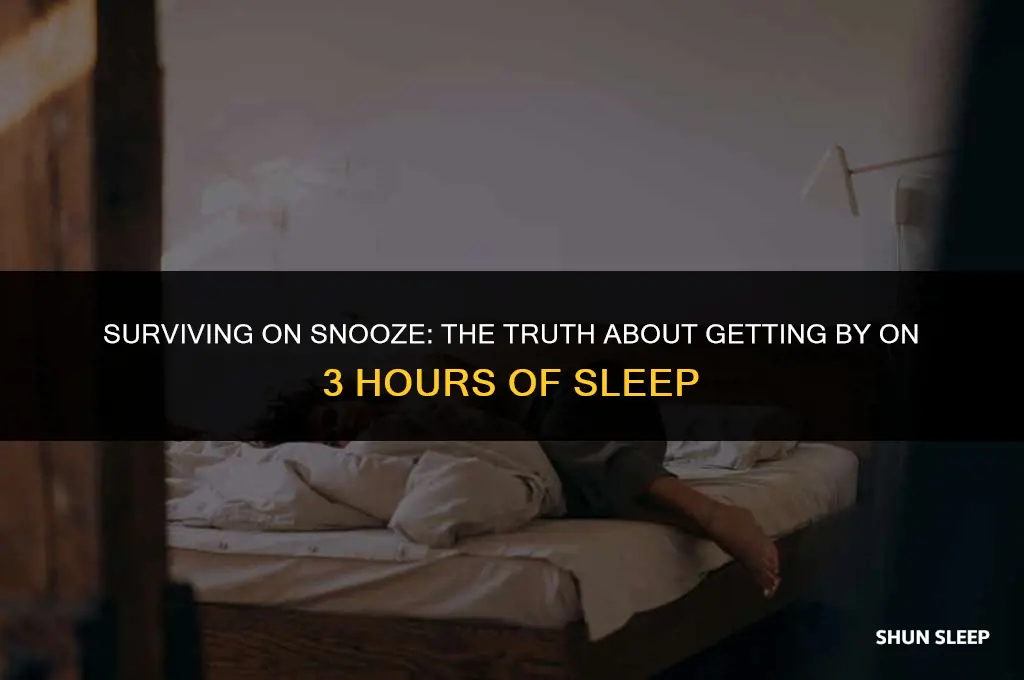 can i get by on 3 hours of sleep