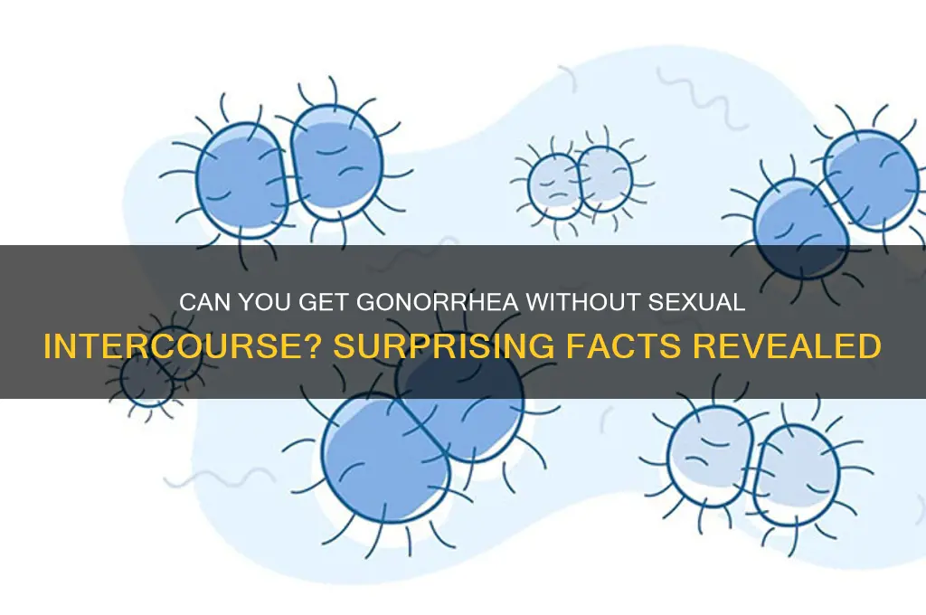 can i get gonorrhea if i didnt sleep with someone