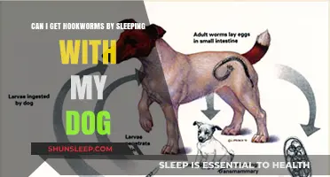 Sleeping with Your Dog: Hookworm Risks and Prevention Tips