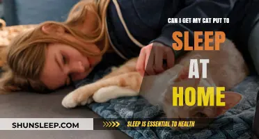 Euthanizing Your Cat at Home: Compassionate Options for a Peaceful Goodbye