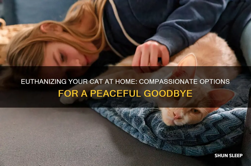 can i get my cat put to sleep at home