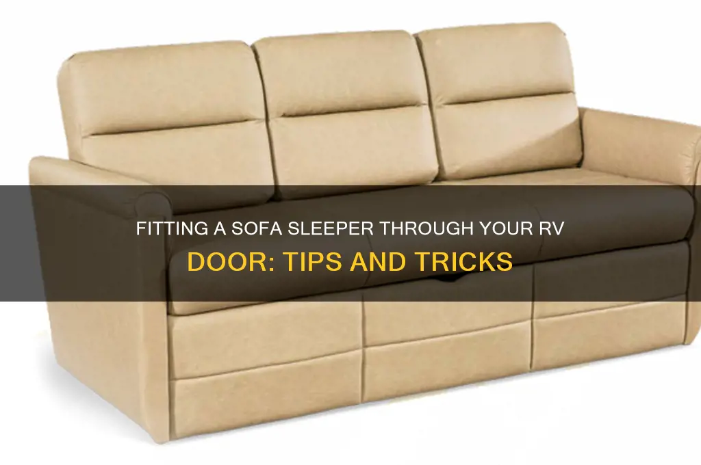 can i get sofa sleeper through rv door