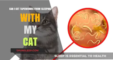 Sleeping with Your Cat: Tapeworm Risks and Prevention Tips