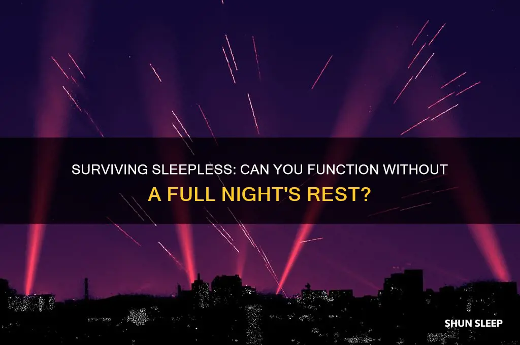 can i get through a day without sleep