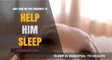 Can Dogs Take Benadryl for Sleep? Dosage and Safety Tips