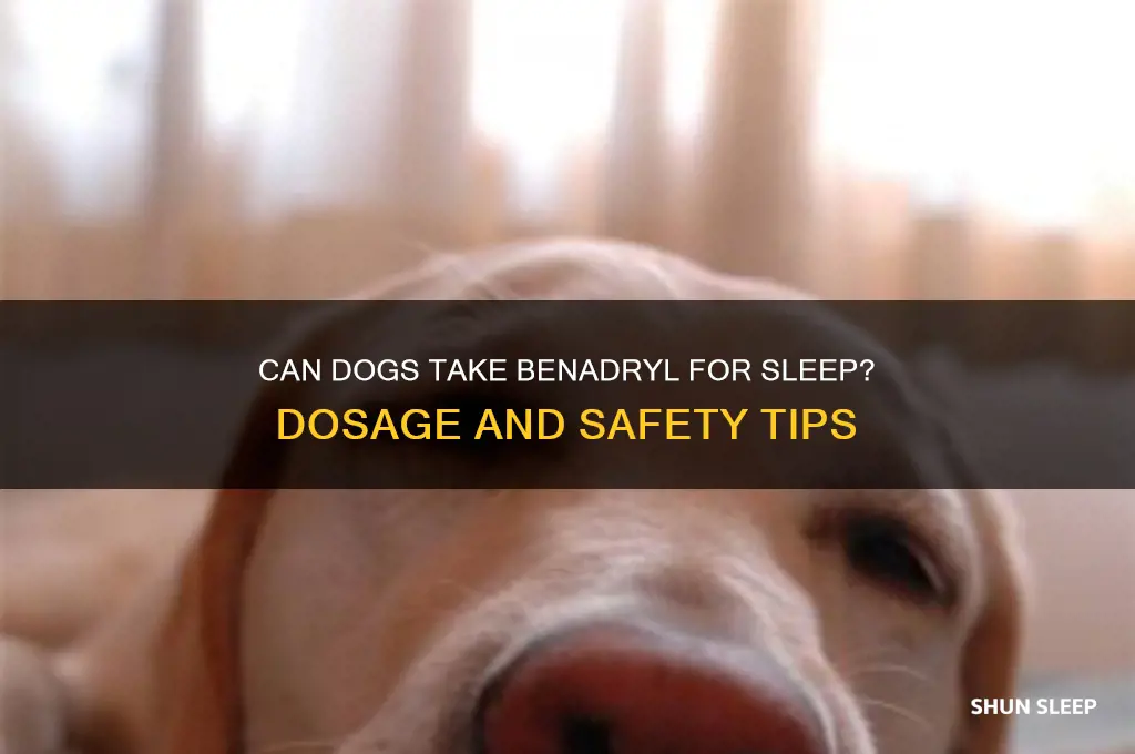 can i give my dog benadryl to help him sleep
