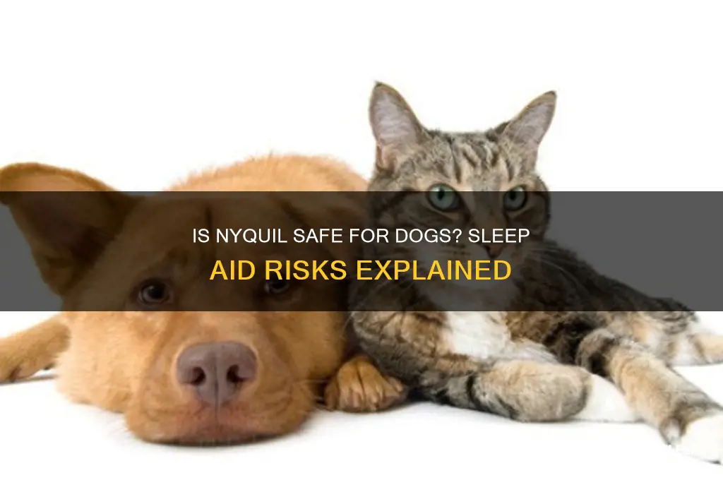 can i give my dog nyquil to help him sleep