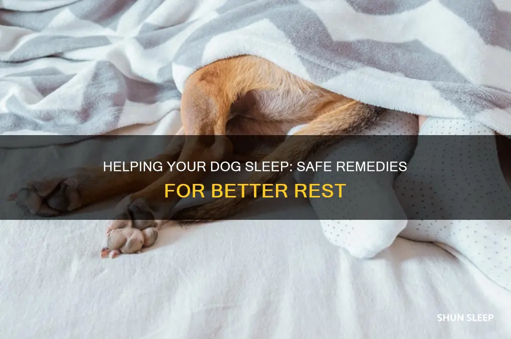 can i give my dog to help him sleep