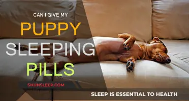 Should I Give Sleeping Pills to My Puppy?