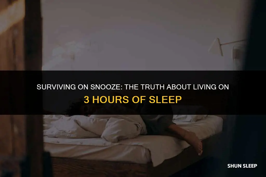 can i live on 3 hours of sleep