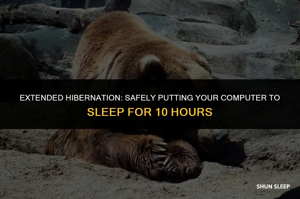 can i put the computer to sleep for 10 hours