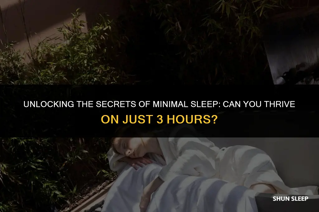 can i sleep 3 hours a day