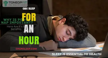Power Naps: Unlocking the Benefits of a 60-Minute Snooze