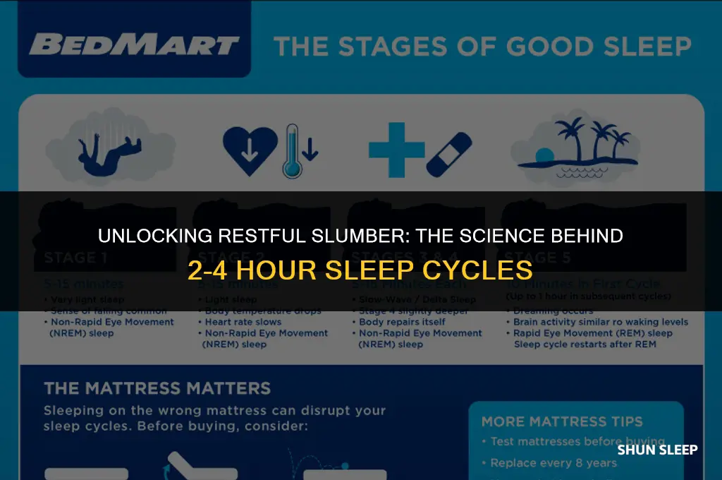 can i sleep in 2 4 hour cycles